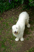 1618709-1649032-thumbnail.jpg