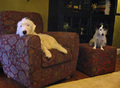 1618709-1559036-thumbnail.jpg