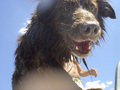 1618709-1288388-thumbnail.jpg