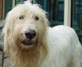 1618709-1209527-thumbnail.jpg