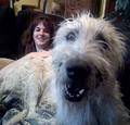 1618709-1132959-thumbnail.jpg
