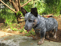 1618709-1588367-thumbnail.jpg