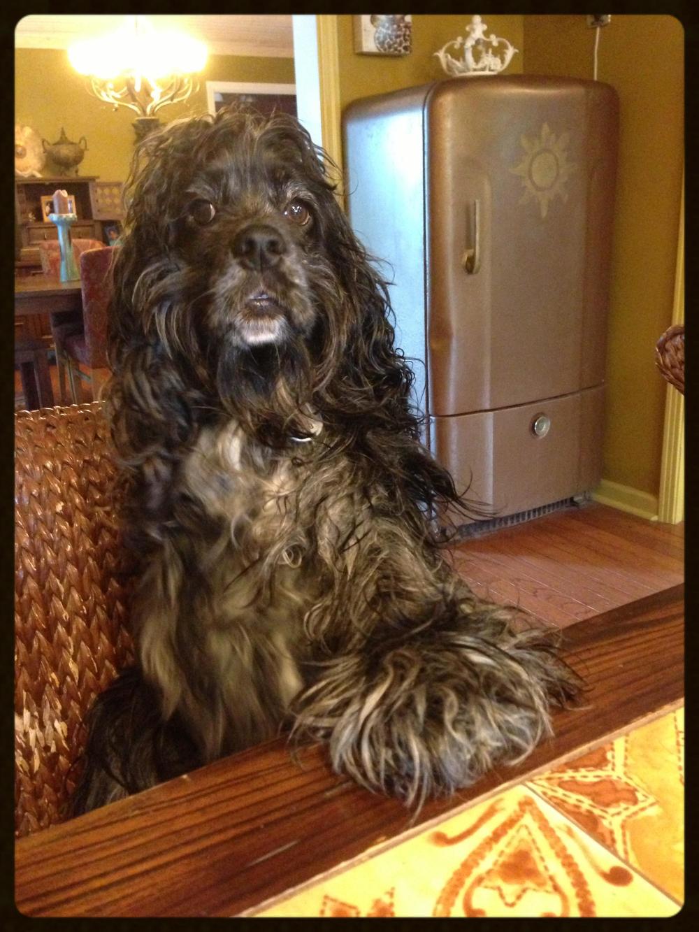 on the kitchen table