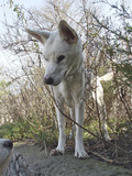1618709-1591935-thumbnail.jpg