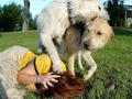 1618709-1375400-thumbnail.jpg