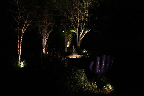 backyard.jpg