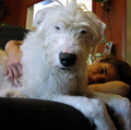 1618709-1559032-thumbnail.jpg