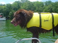 1618709-1269030-thumbnail.jpg