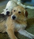 1618709-1719011-thumbnail.jpg
