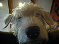 1618709-1559027-thumbnail.jpg