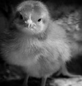 1618709-1430312-thumbnail.jpg