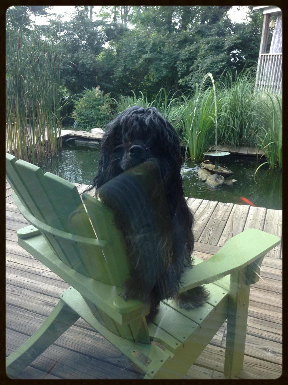 on a chair