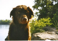 1618709-1277028-thumbnail.jpg