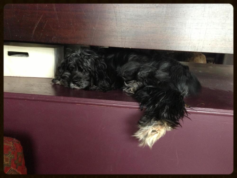 on the platform under our bed