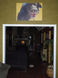 1618709-1288390-thumbnail.jpg