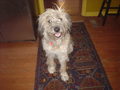 1618709-1123299-thumbnail.jpg