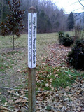 1618709-1349540-thumbnail.jpg