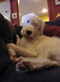 1618709-1559029-thumbnail.jpg