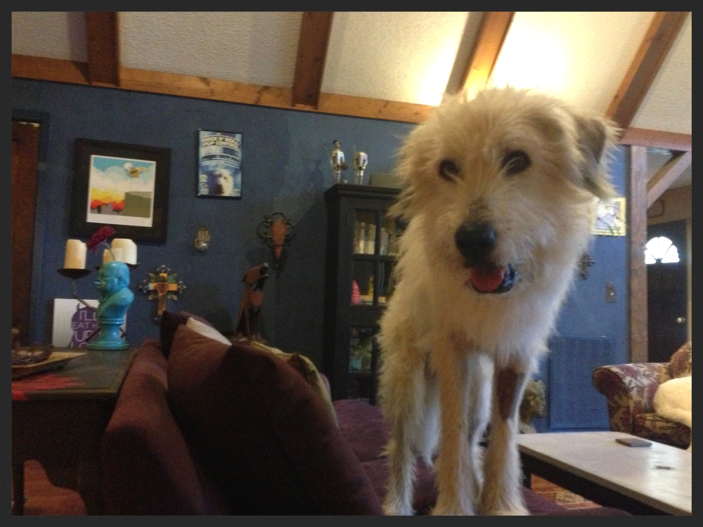 watson day after splenectomy