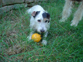 1618709-1195541-thumbnail.jpg