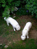1618709-1649035-thumbnail.jpg