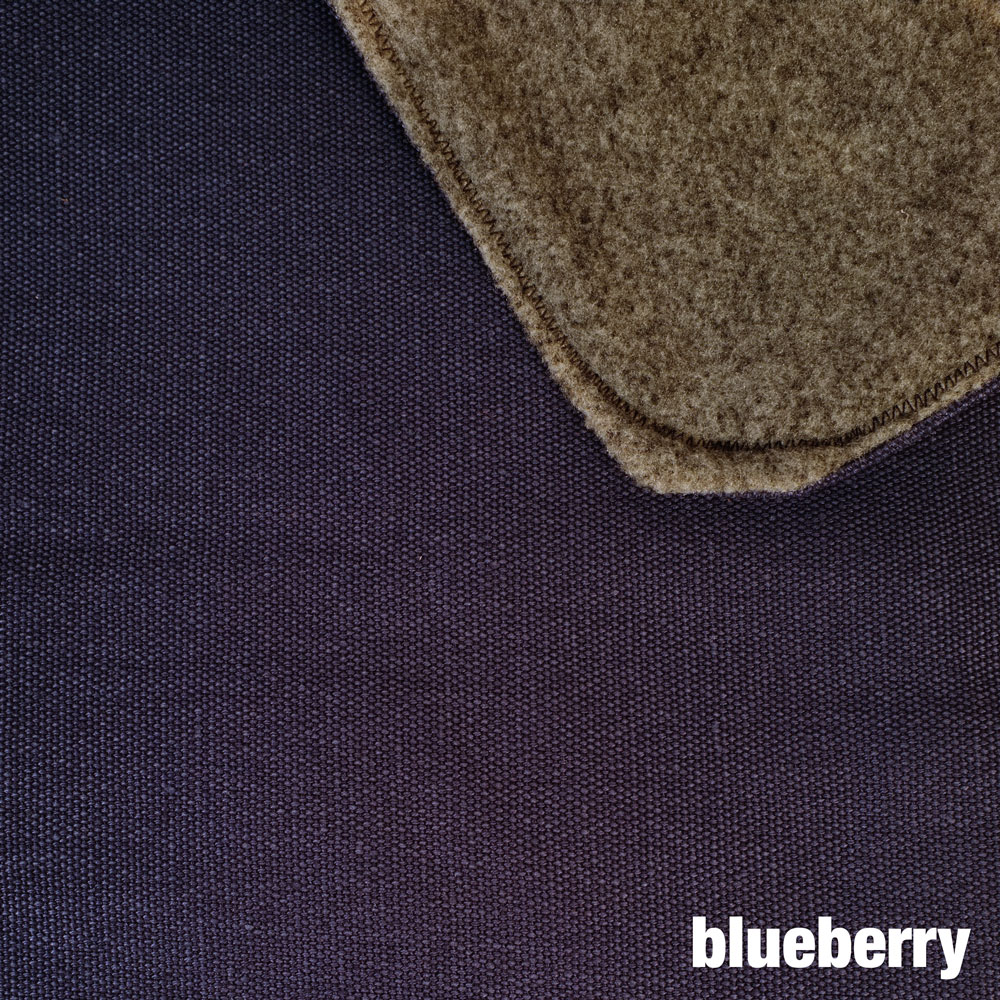 blueberry