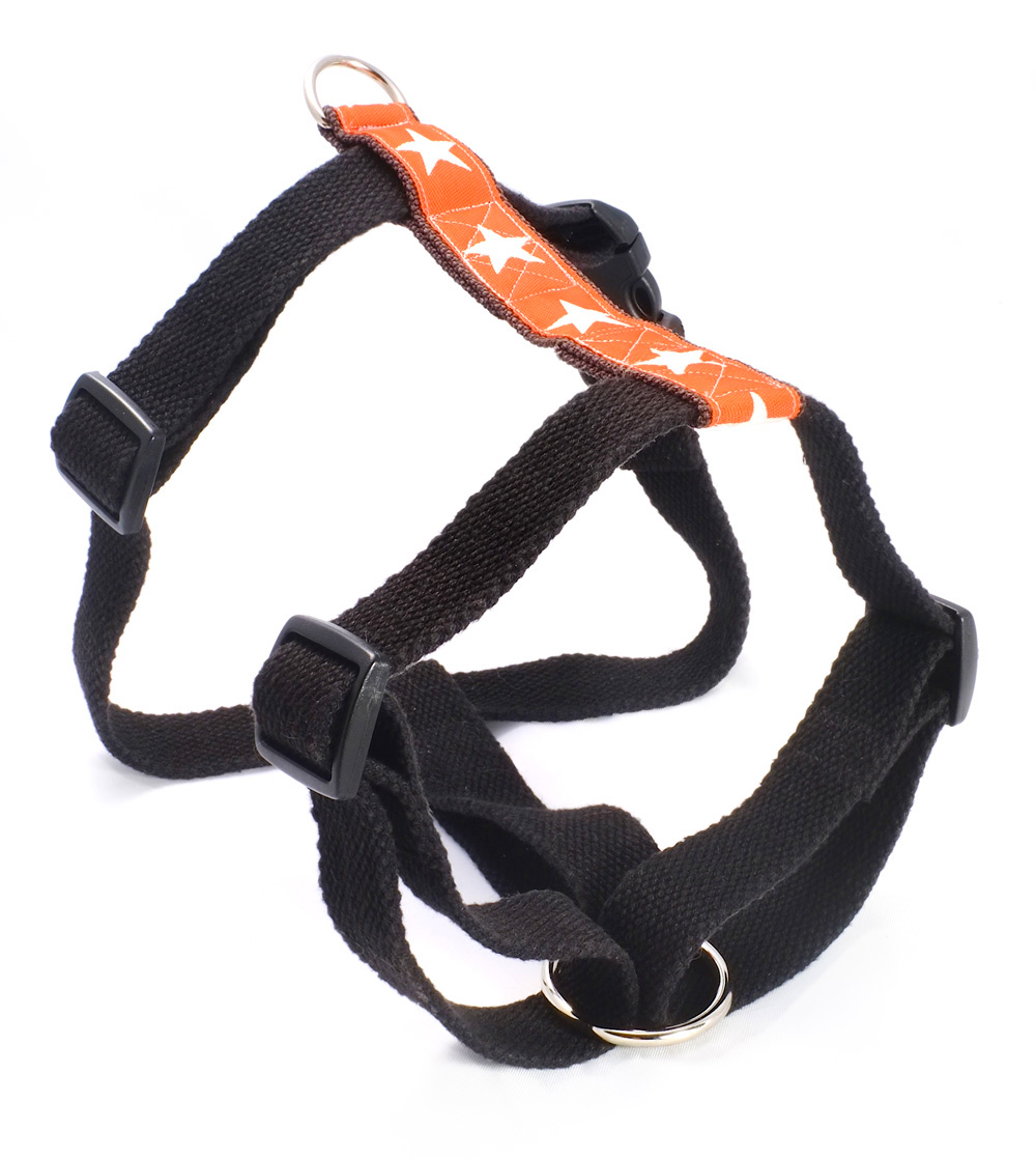 kody-V (orange)