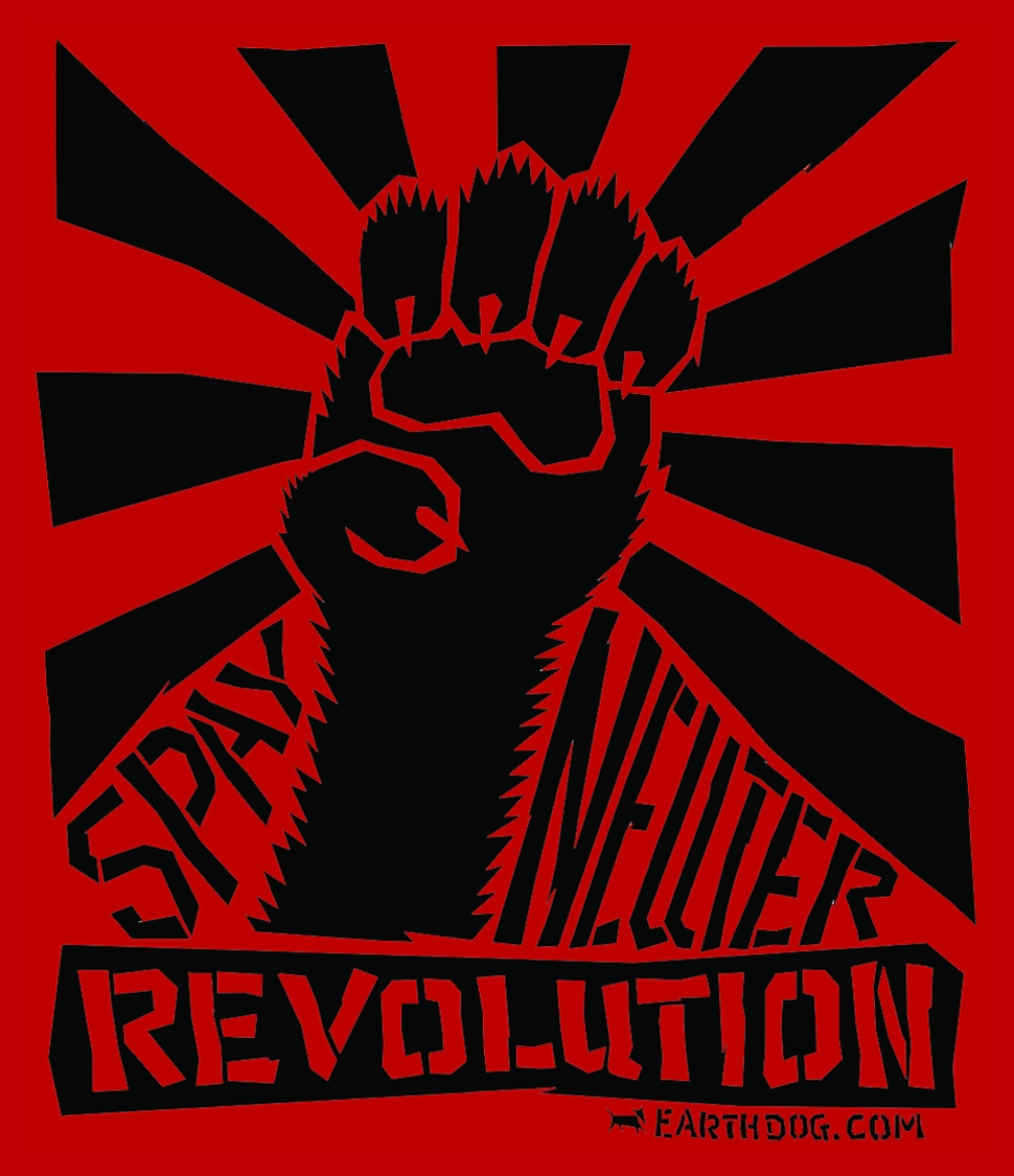 revolution